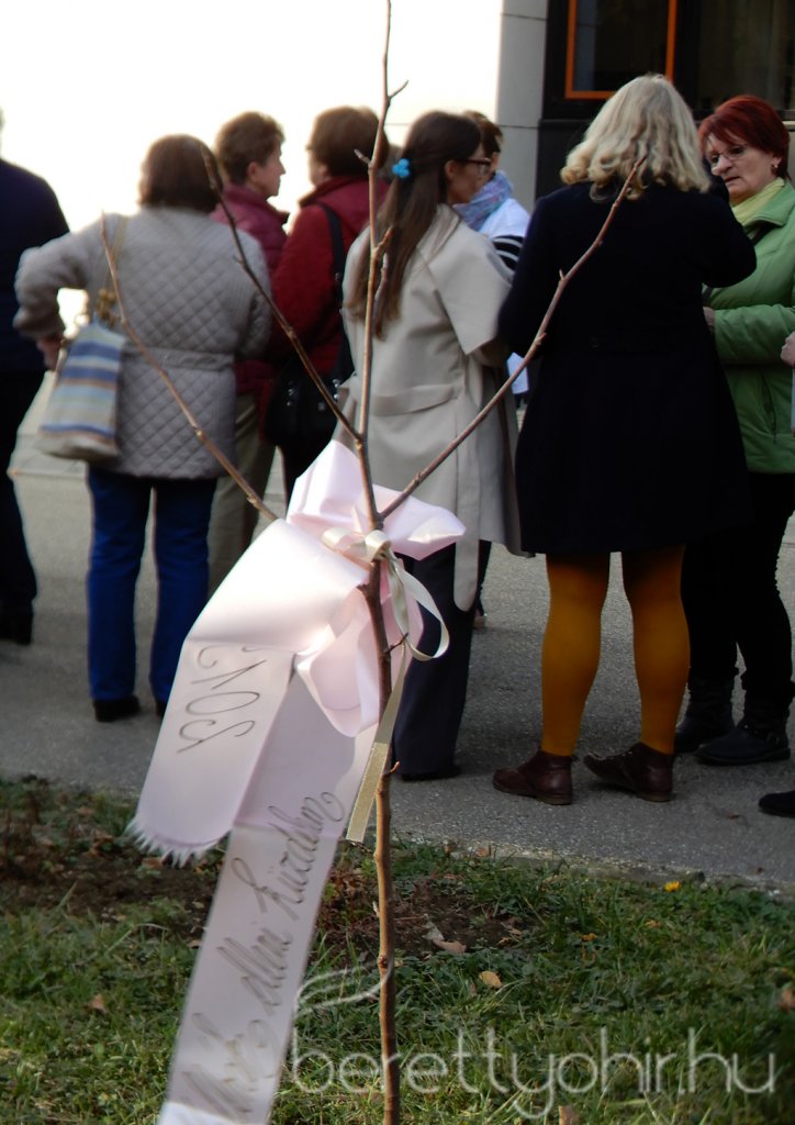 Tulipánfával a mellrák ellen 18